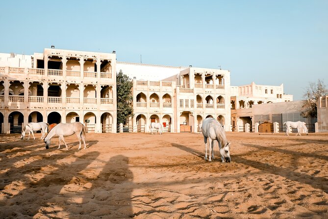 Discovering Doha Qatar | Guided City Tour | Half Day - The Pearl Island Photo Stop, modern luxury in a tight time window