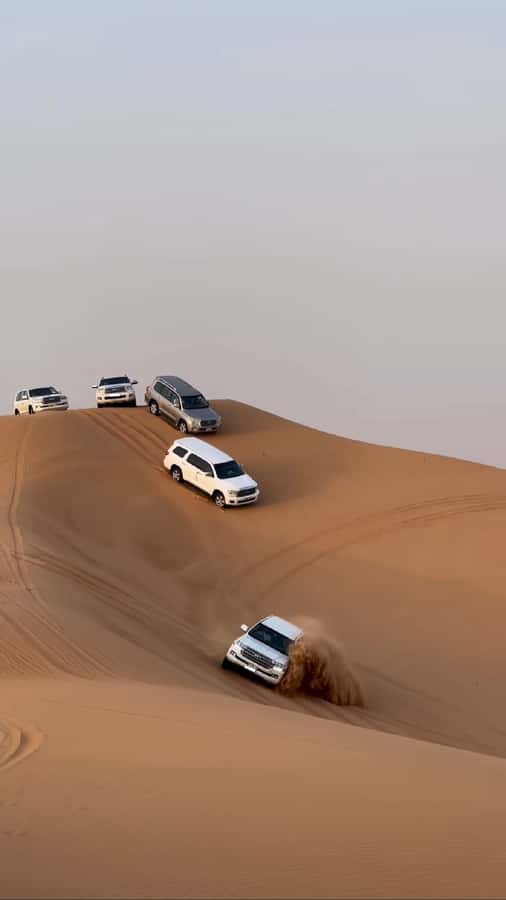 Doha Activities: Desert Safari, Dune Bashing & Inland Sea - Sandline dunes: sand-boarding plus dune bashing