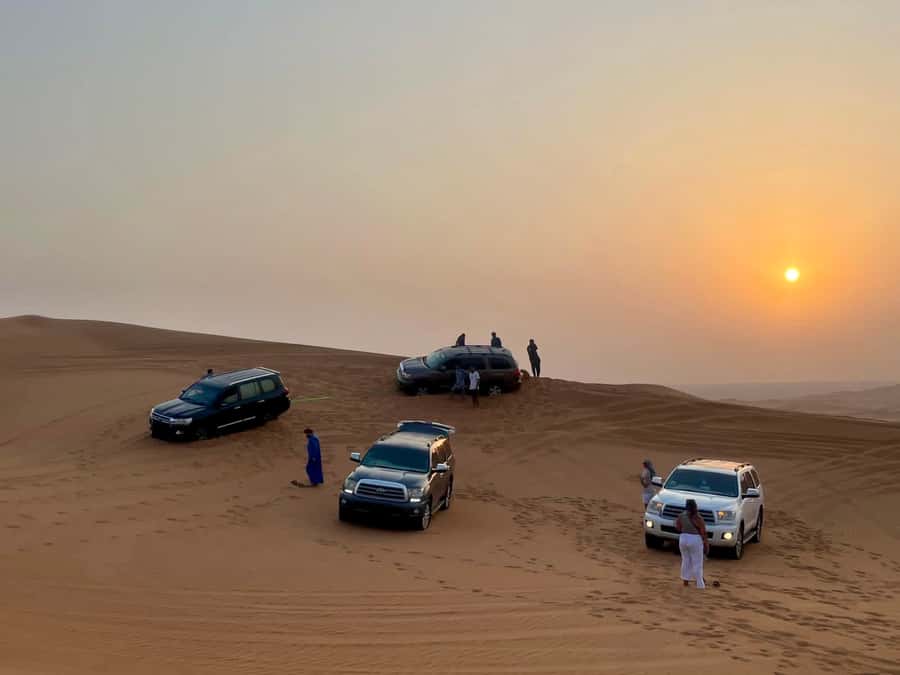 Doha Activities: Desert Safari, Dune Bashing & Inland Sea - Who this tour suits best (and who should skip)