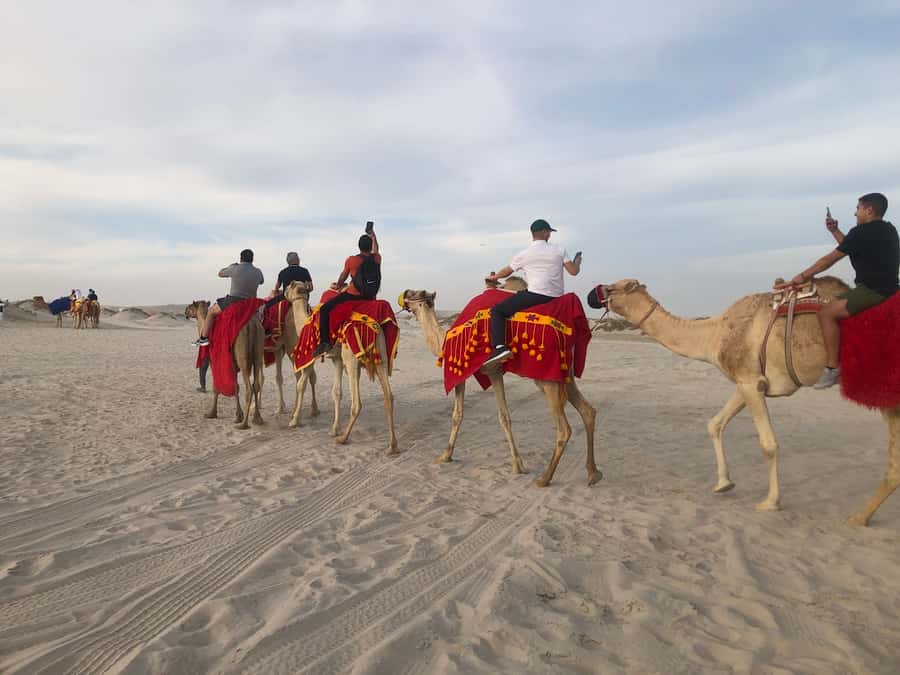 Doha Activities: Desert Safari, Dune Bashing & Inland Sea - Practical tips to make the day smoother