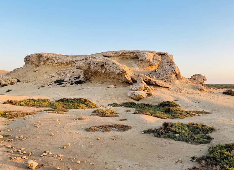 Doha: Al Zubara Fort, Al Jumail & Al Thakira Tour - The guide experience: when conversation turns the trip from scenic to useful