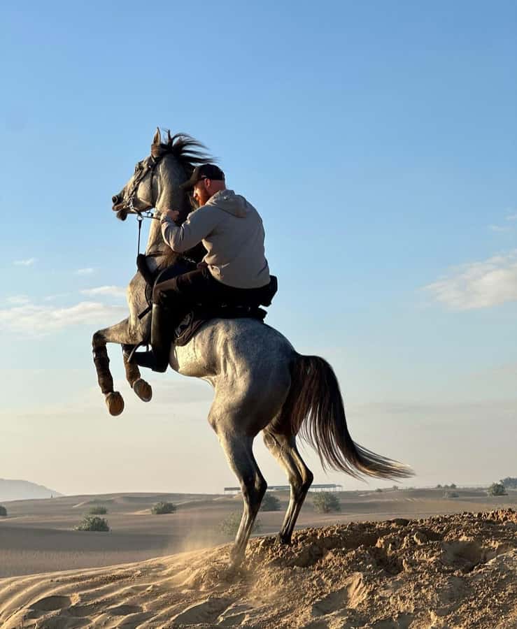 Doha : Arabian Horse Ride Experience With Pickup & Drop Off - Who This Horse Ride Fits Best (And Who Should Skip It)