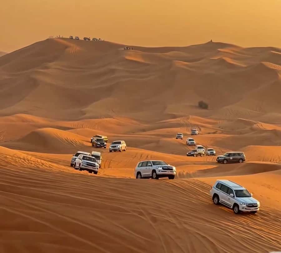 Doha : Arabian Horse Ride Experience With Pickup & Drop Off - Wildlife Spotting in the Quiet Desert