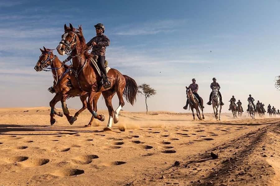Doha : Arabian Horse Ride Experience With Pickup & Drop Off - 3 Hours With Pickup From Doha, Then Saddle Up