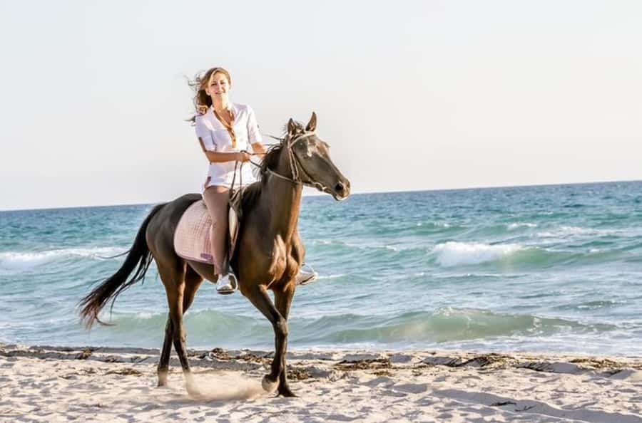 Doha : Arabian Horse Ride Experience With Transfer - Desert Horseback Riding Near Doha: What This 3-Hour Tour Really Delivers
