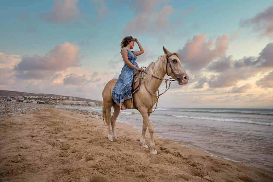 Doha : Arabian Horse Ride Experience With Transfer - Hotel Pickup and the Jeep Ride to Sealine and the Inland Sea