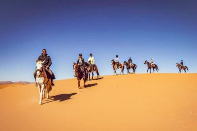 Arabian Horse Ride Experience With Transfer