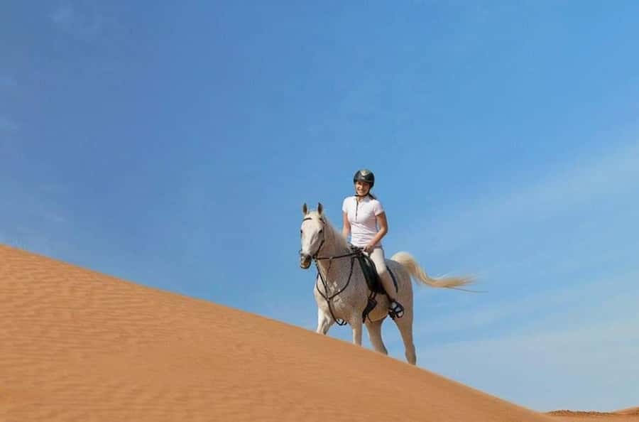 Doha : Arabian Horse Ride Experience With Transfer - Should You Book This Arabian Horse Ride With Transfer?