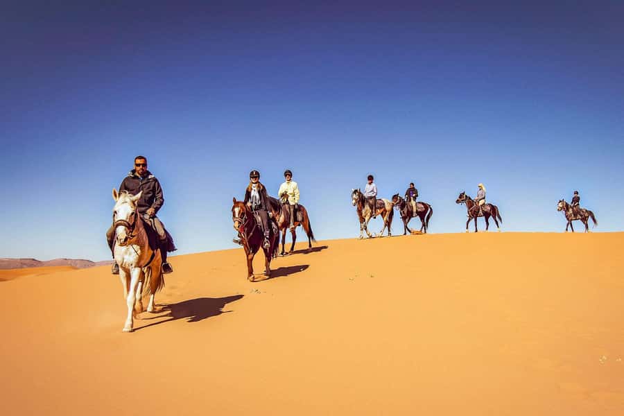 Doha : Arabian Horse Ride Experience With Transfer - At the Equestrian Center: Matching Your Horse and Getting Set Up Right