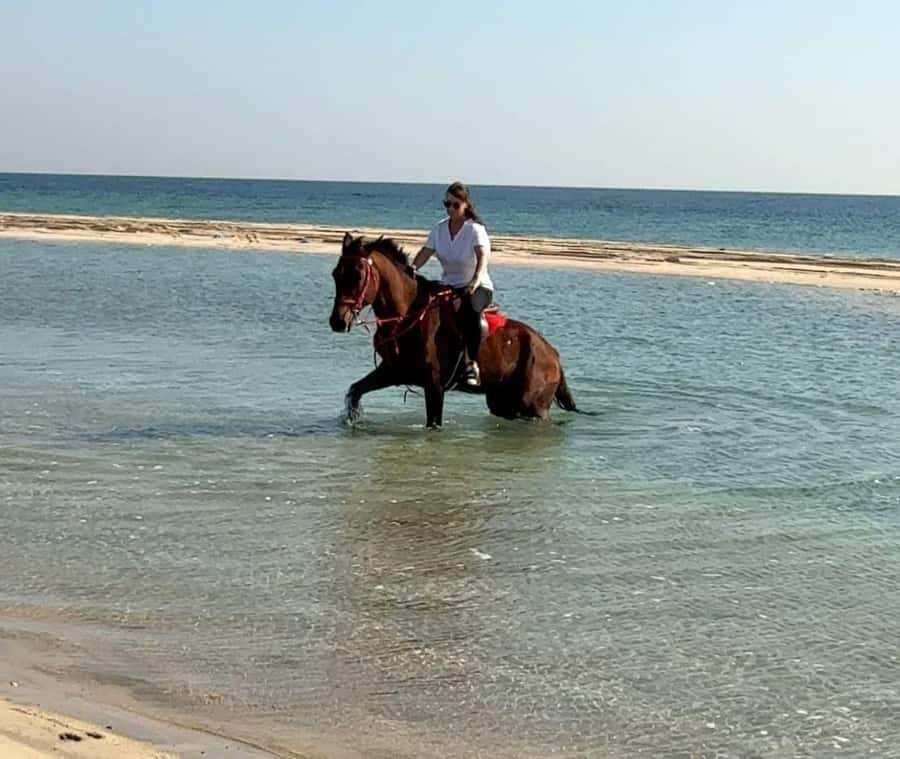 Doha: Arabian Horse Riding Experience -Sea or Desert Options - Doha Arabian Horse Riding, Desert or Sea Side