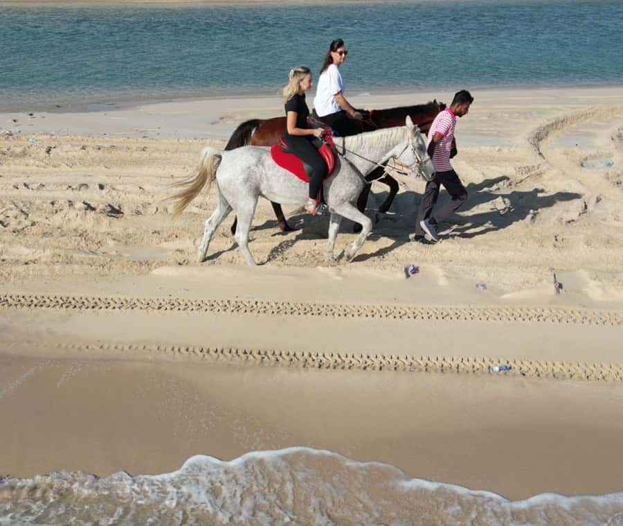 Doha: Arabian Horse Riding Experience -Sea or Desert Options - Desert Side Riding: Dunes, Control, and That Sunset Feel