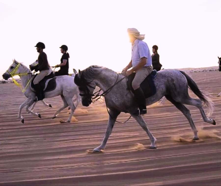 Doha: Arabian Horse Riding Experience -Sea or Desert Options - What the Price Buys You at $123 Per Person