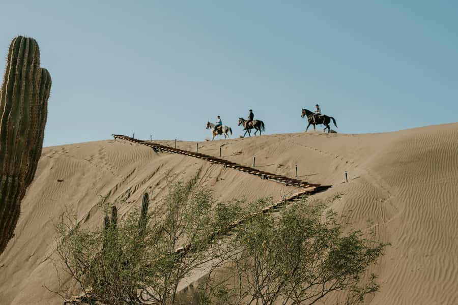 Doha: Arabian Horse Riding Experience -Sea or Desert Options - What to Bring, and What You Should Skip