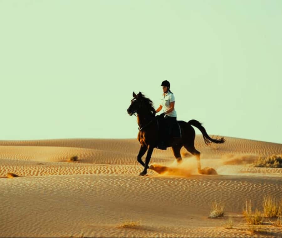 Doha: Arabian Horse Riding Experience -Sea or Desert Options - Tips to Maximize Your Ride Experience