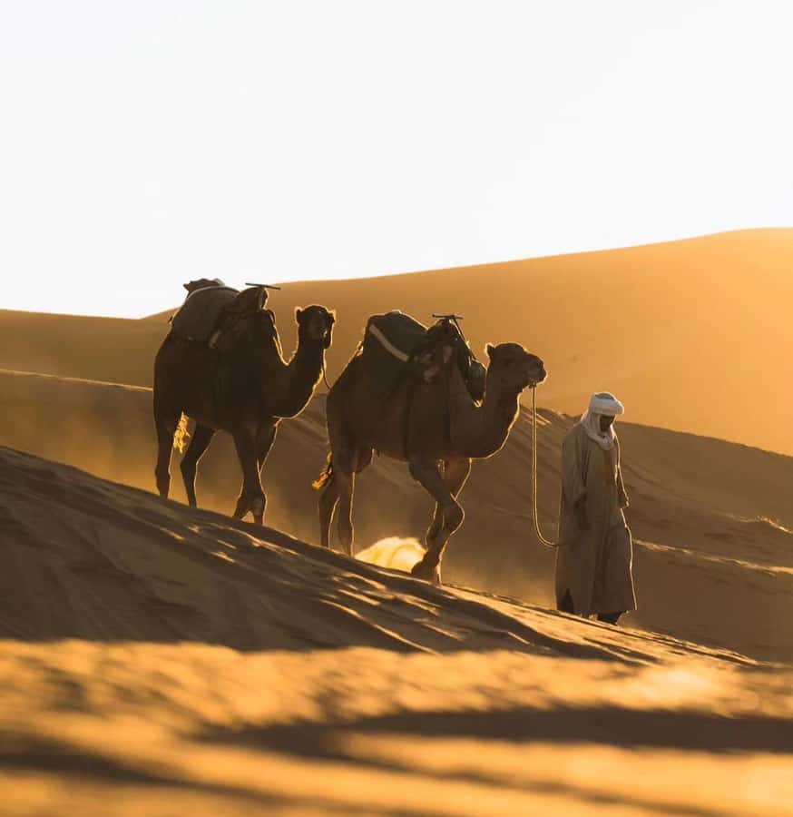 Doha: ATV/Desert Safari with Activities and Inland Sea Stop - Sandboarding: sliding down, not just posing on sand