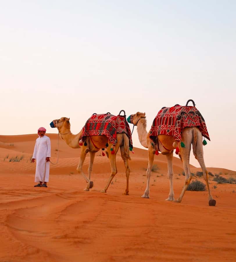 Doha: ATV/Desert Safari with Activities and Inland Sea Stop - Price and value: why $19 can work if you’re doing the right activities