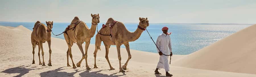 Doha: ATV/Quad, Safari 4x4, Camels, Sandboarding& Inland Sea - Quad bike option: extra speed if you want it