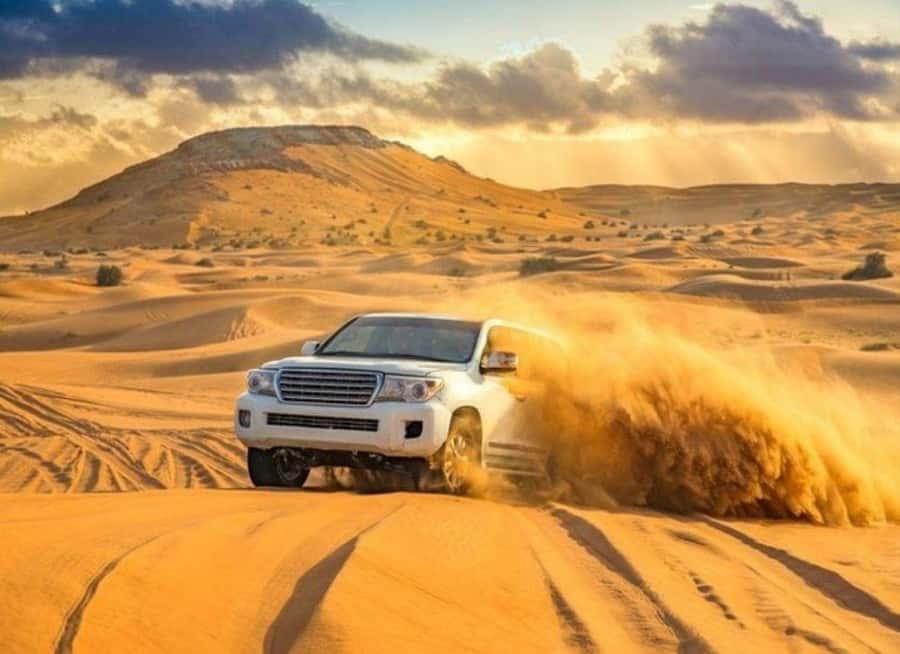 Doha: Budget Friendly Desert Safari,CamelRide & Sandboarding - Pickup timing and meeting reality: avoid the stress spiral