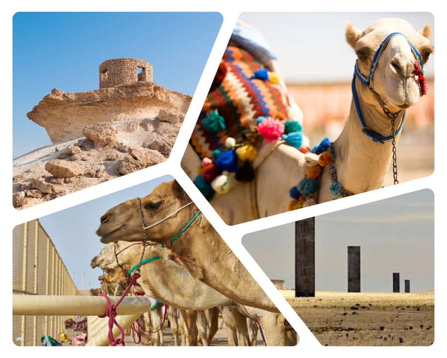 Doha Camel Race Track & Richard Serra Desert Sculpture Tour - Camel track to sculpture in one half-day: the big idea
