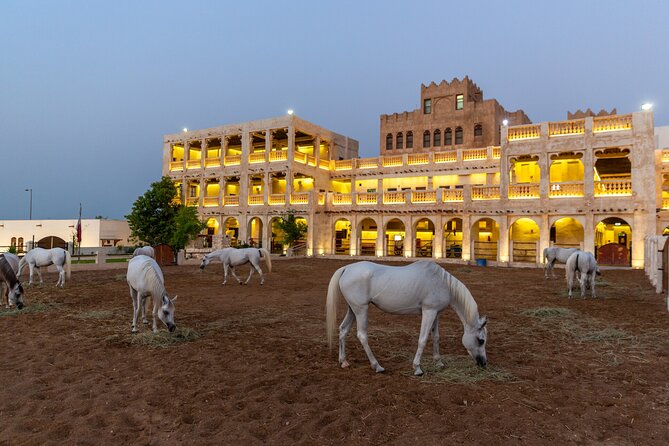 Doha City Highlights Guided Tour With Dhow Cruise - Who should book this tour (and who might add extra time)