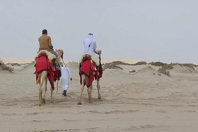 Doha Combo City And Half Day Desert Safari Tour No Hidden cost - Doha Corniche and Katara Cultural Village, a Clean Start With Real Contrast
