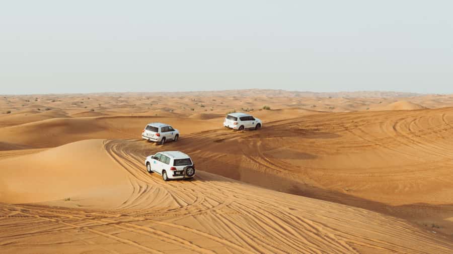 Doha: Combo Private Tour of Desert Safari with ATV Ride - Optional add-ons: camel ride and a falcon photo