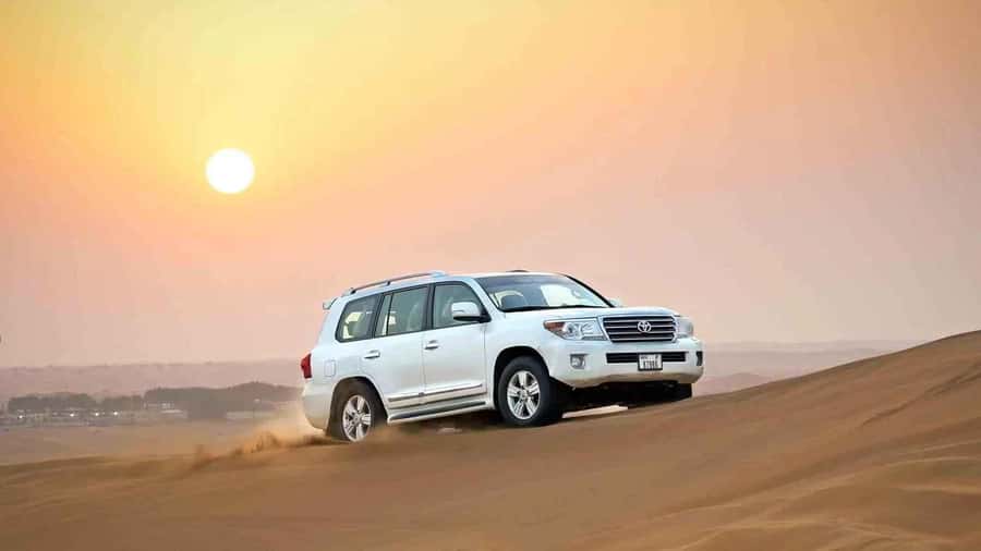 Doha: Desert 4x4, ATV/Quad, Camels, Sandboarding, Inland sea - Tire pressure, timing, and what you should wear and expect