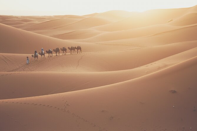 Doha Desert Adventure, Sandboarding, Dune Bashing,Inland Sea Tour - Transportation Comfort: Air-Conditioned Ride, Private Feel