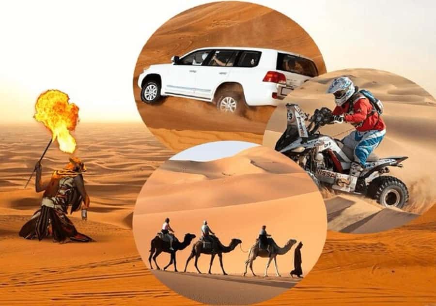 Doha: Desert All Activities ATV Quad Bike, Dune Bashing - Sealine Beach Resort stop: camel rhythm, tea breaks, and photo stops