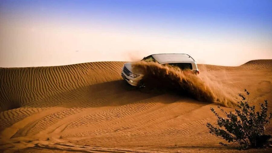 Doha Desert Excursion, Camel Ride, Inland sea, Sandboarding - Desert Thrills Plus Inland Sea Views From Doha