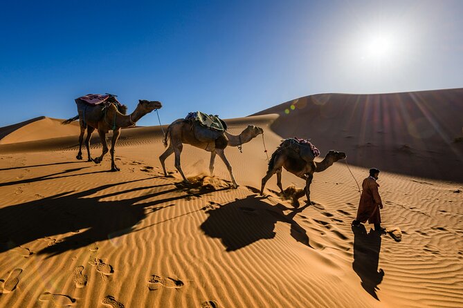 Doha Desert Excursion Dune Bashing Sandboarding Camel Ride - Inland Sea Beach for More Dunes and Turquoise Water