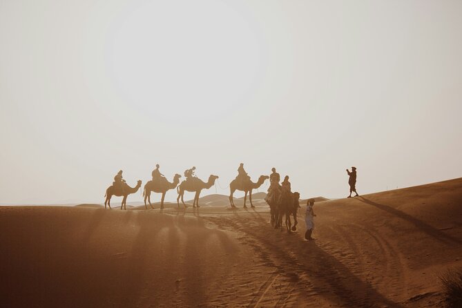Doha Desert Excursion Dune Bashing Sandboarding Camel Ride - Price and Value: Is $60 Per Person Worth It?