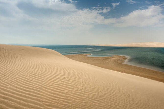 Doha Desert Quad Bike adventure with group, and Sand dune Driving - Who This Doha Desert Experience Fits Best