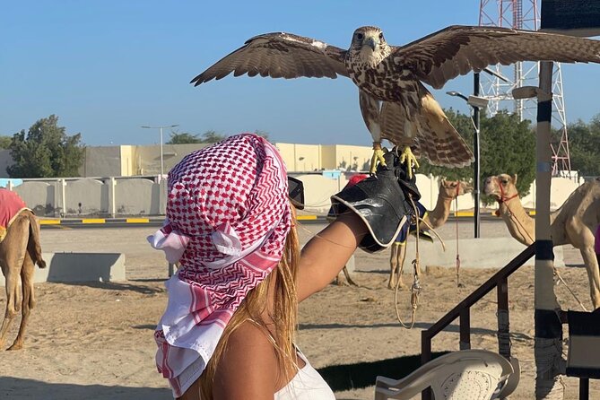 Doha Desert Safari Camel Ride Dune Bashing and ATV Bike - Inland Sea viewpoints and why timing affects the whole mood