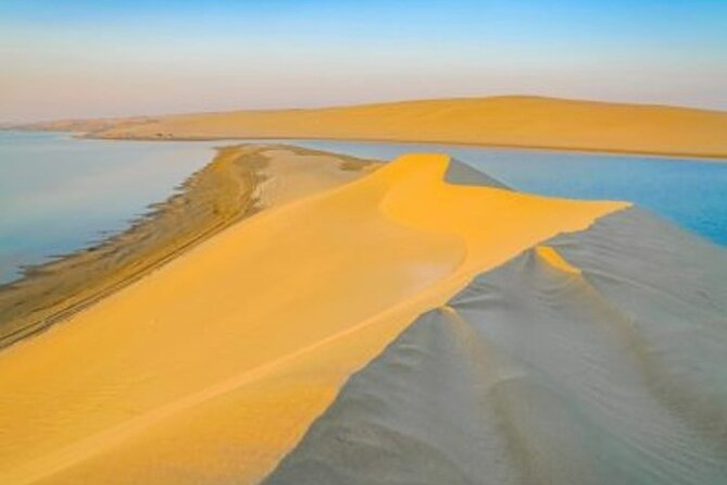 Doha Desert Safari Camel Ride, Sandboarding and Inland Sea - Why this Doha desert safari pairs dunes with the Inland Sea