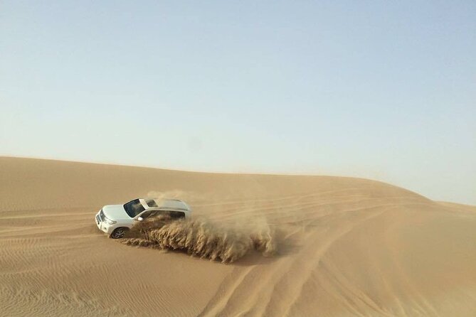 Doha Desert Safari Dune Bashing Camel Ride - Qatari camp time, tea breaks, and falcon photos