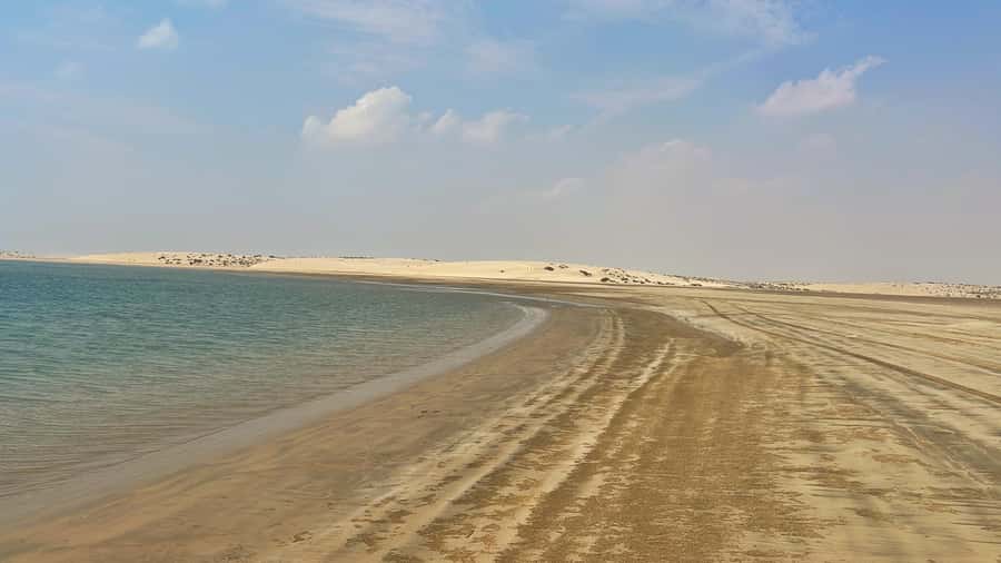Doha: Desert Safari, Dune Bashing, Inland Sea With Transfers - Guides and Group Style: Why the Human Touch Matters