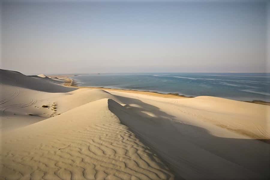Doha: Desert Safari Dune Bashing, Sandboarding, & Camel Ride - The 4x4 dune bashing part: what it feels like and how to enjoy it