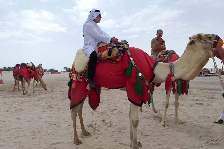 Doha: Desert Safari Dune Bashing, Sandboarding, & Camel Ride - Price and value: is $30 a smart deal for a 4-hour safari?