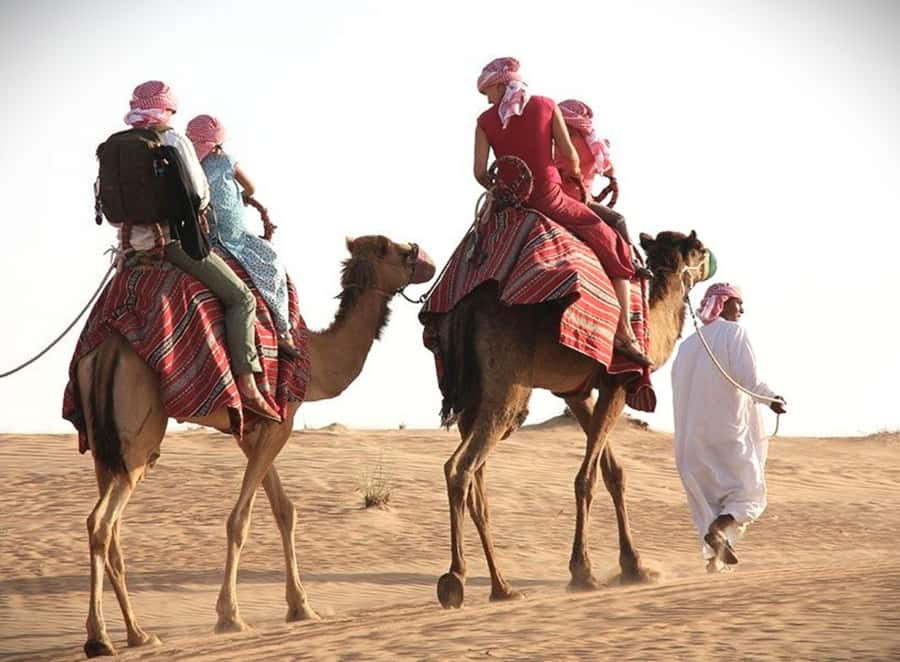 Doha: Desert Safari, Dune Bashing, Sandboarding, Camel Ride - Campsite break: tea, Bedouin-style moments, camels and falcons