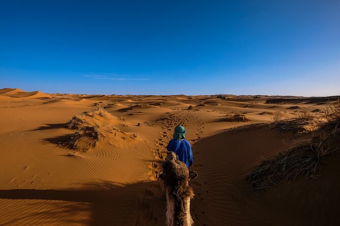 Doha Desert Safari Dune bashing,Sandboarding,CamelRide,Inland Sea - Falcons, Bedouin-Style Moments, and the Camel Ride Timing Reality