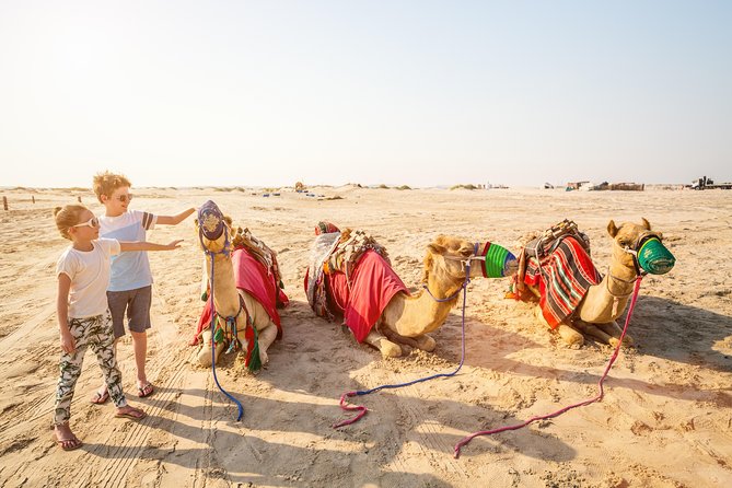 Doha Desert Safari: Dunebashing, Camel, Sandboarding & Inland Sea - Entering The Desert: what this Doha safari really gives you