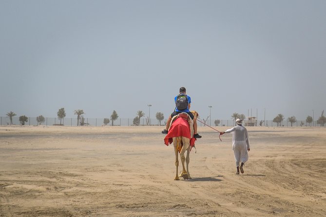 Doha Desert Safari: Dunebashing, Camel, Sandboarding & Inland Sea - The 4x4 drive out: comfort, tyre pressure, and the first wow