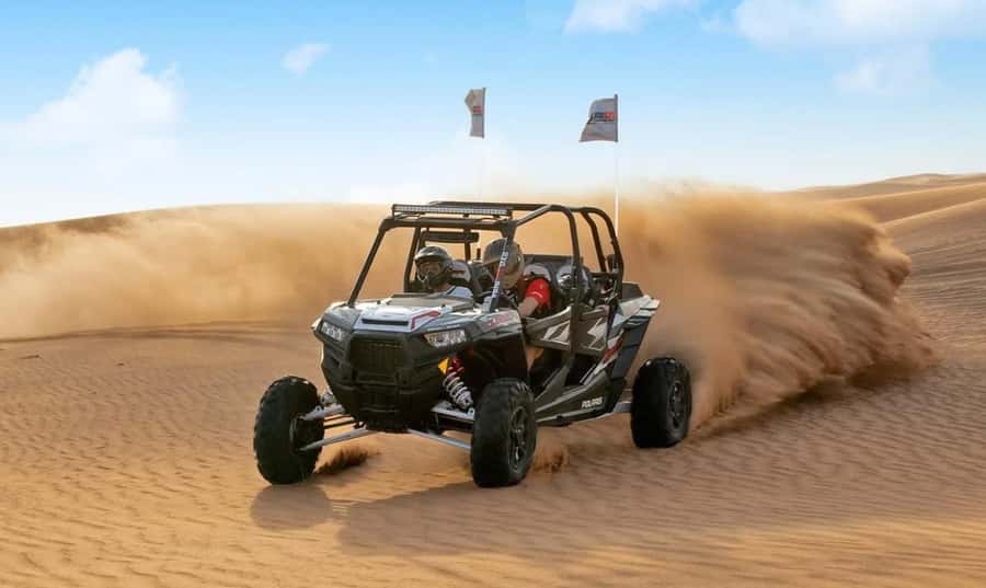 Doha: Desert Safari Experience - Quad Bike, Buggy/Camel Ride - Dune Bashing in a 4x4: Thrill Level and Smart Safety Moves