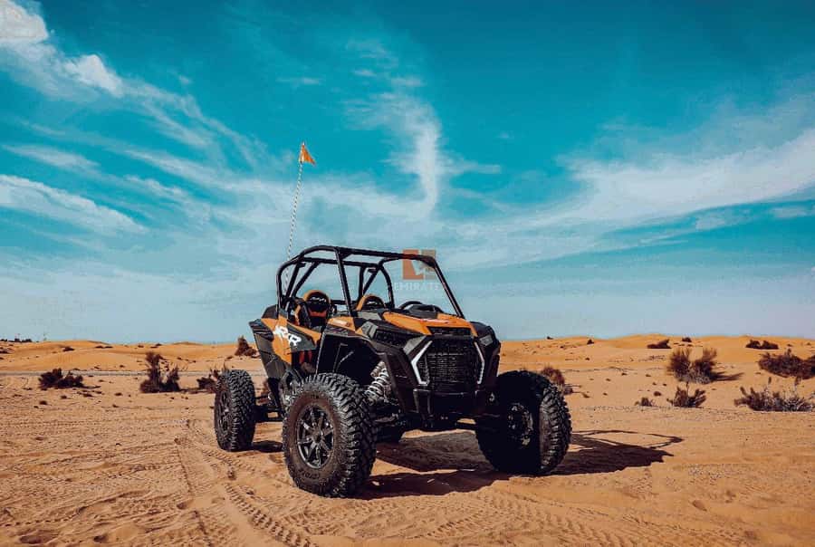 Doha: Desert Safari Experience – Quad Bike, Buggy/Camel Ride - Pickup, Transfer Time, and How the 4WD Sets the Tone