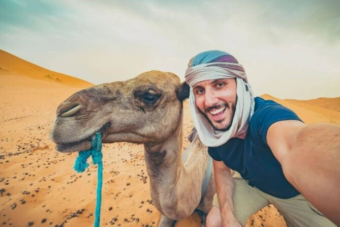 Doha Desert Safari Horse Riding, Camel Ride, ATVs & Inland Sea - Pickup in Doha: the part that sets the tone