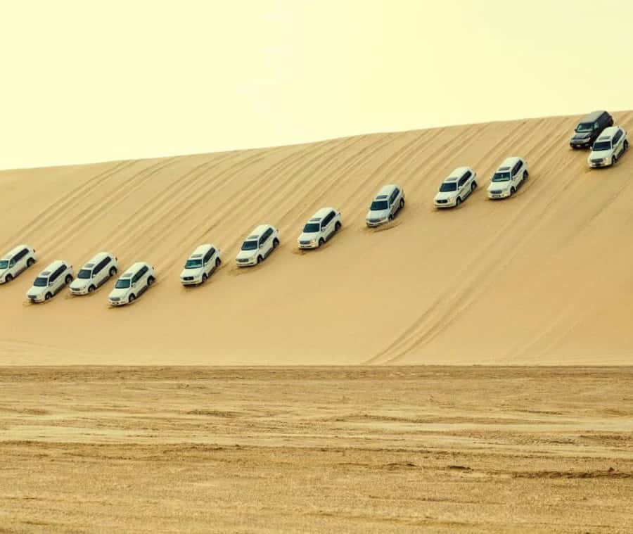 Doha: Desert Safari, Quad Bike, Camel Ride & Inland Sea - Key things to know before you go