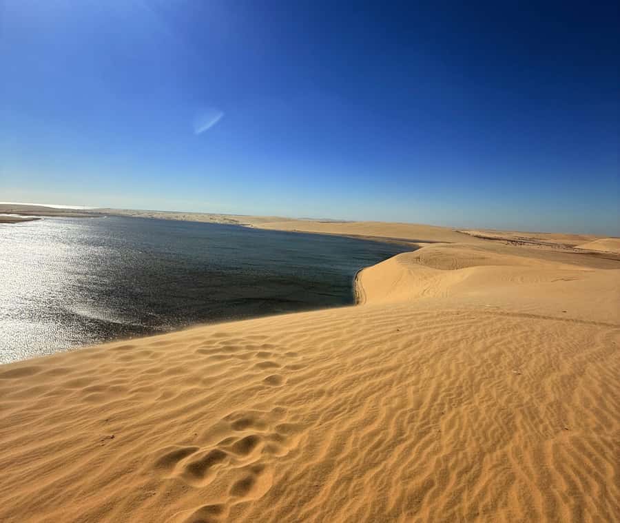 Doha: Desert Safari, Quad Bike, Camel Ride & Inland Sea - From Doha pickup to the desert, without the hassle
