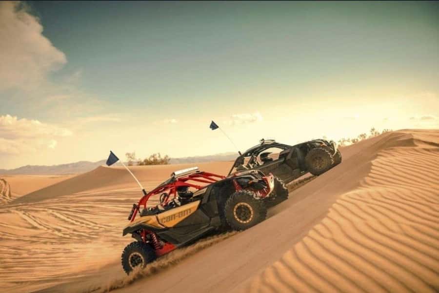 Doha: Desert Safari, Quad Bike, Camel Ride & Inland Sea Tour - Price, Inclusions, and Add-Ons That Can Actually Change the Day