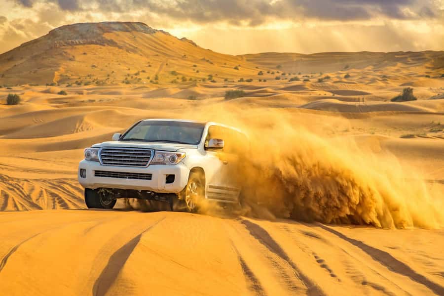 Doha: Desert Safari, Quad Biking, Sand Boarding & Camel Ride - Inland Sea dunes and the Saudi Arabia border viewpoint